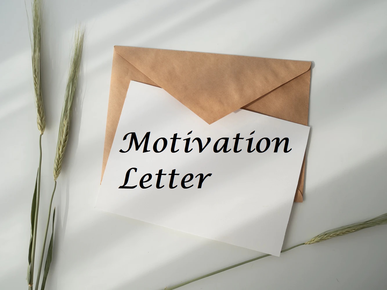 Contoh Motivation Letter